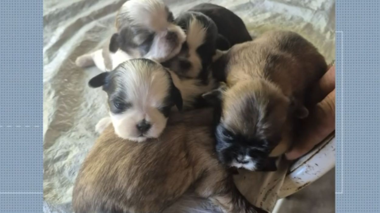 foto Not&iacute;cia Matão