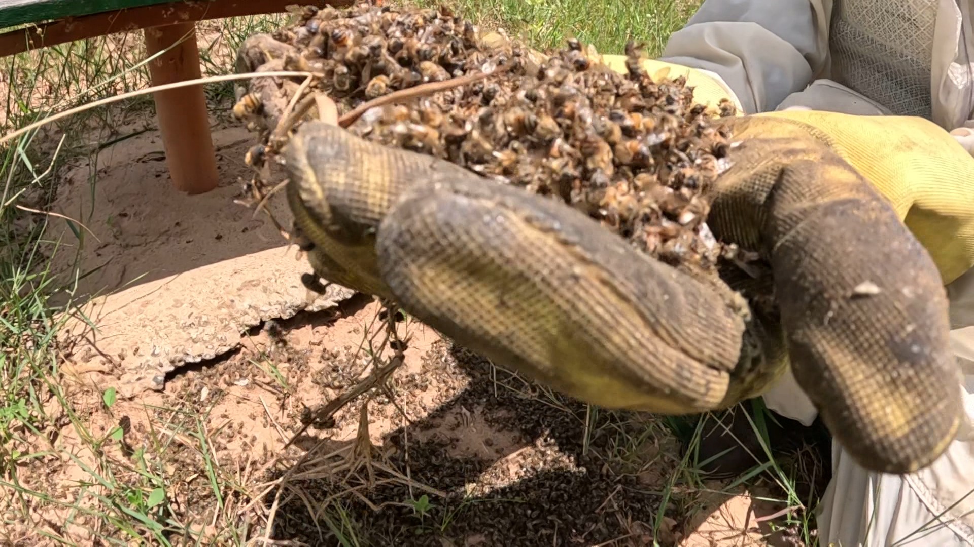 foto Not&iacute;cia Matão