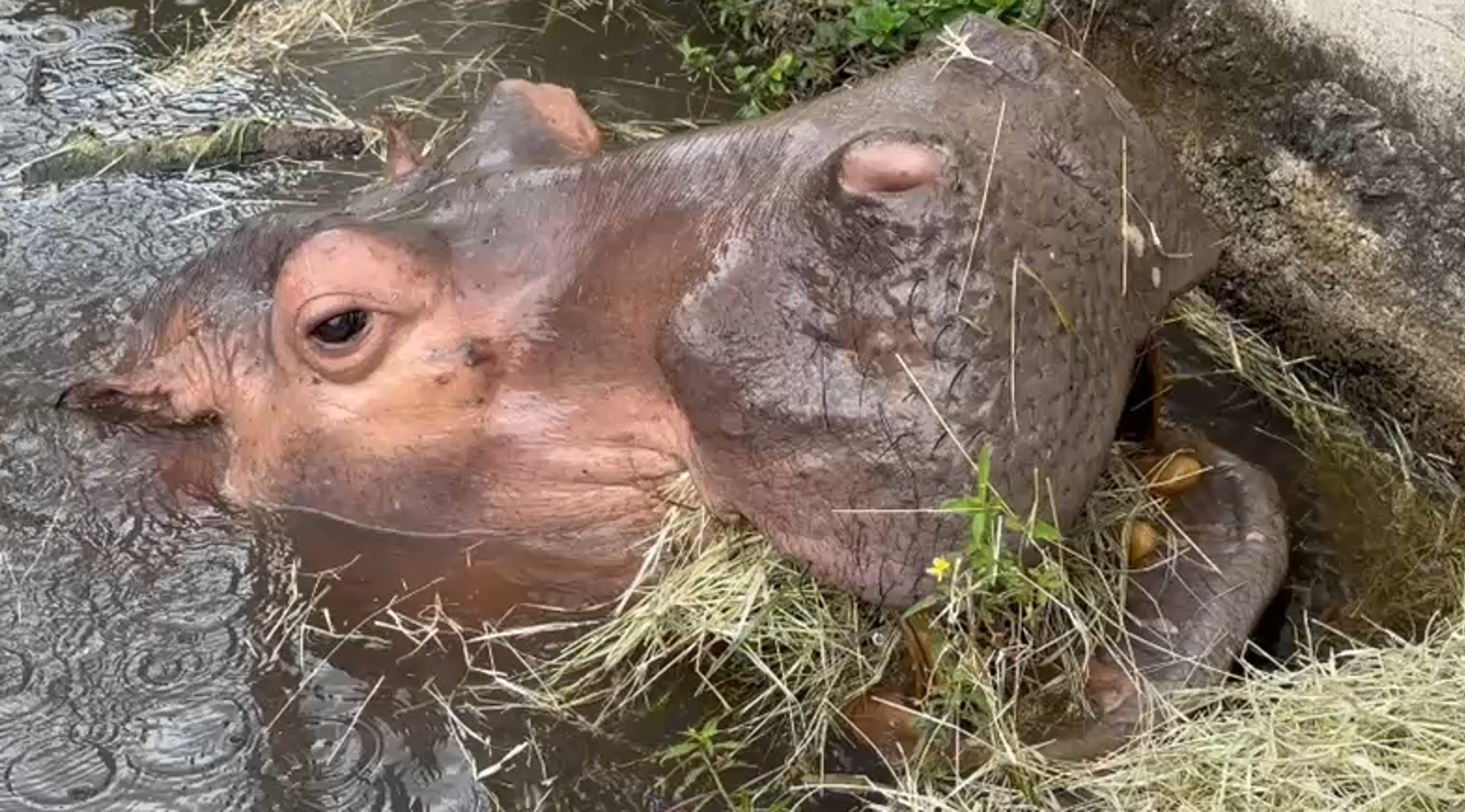 foto Not&iacute;cia Matão